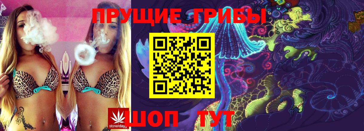 Галлюциногенные грибы прущие грибы Светлоград